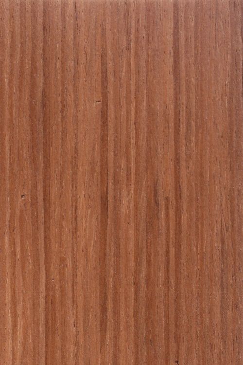 teak