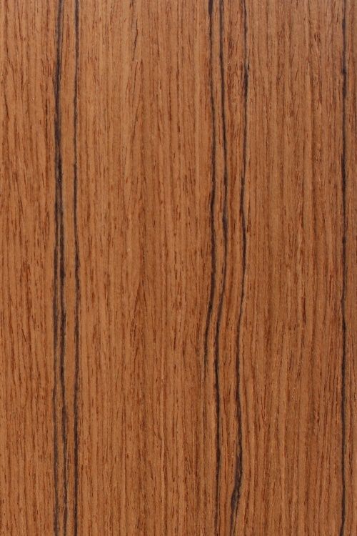 teak 0001