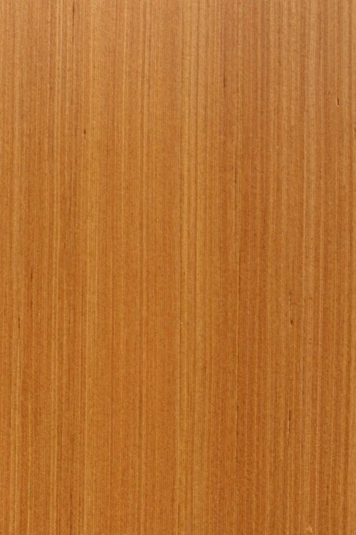teak 3001PW