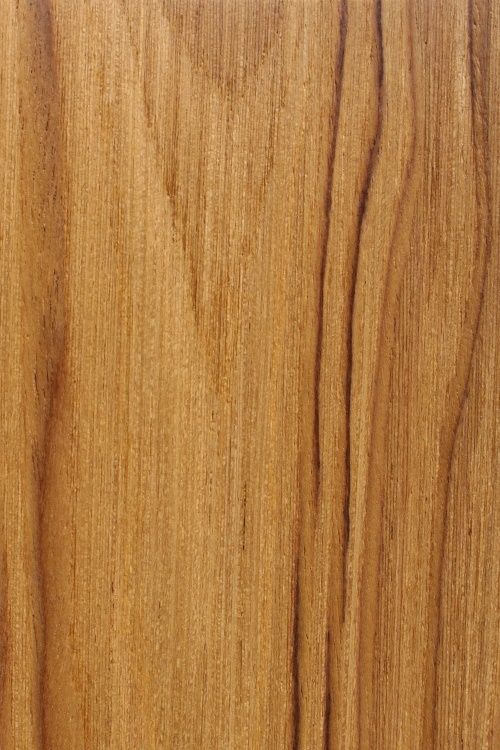 teak florida